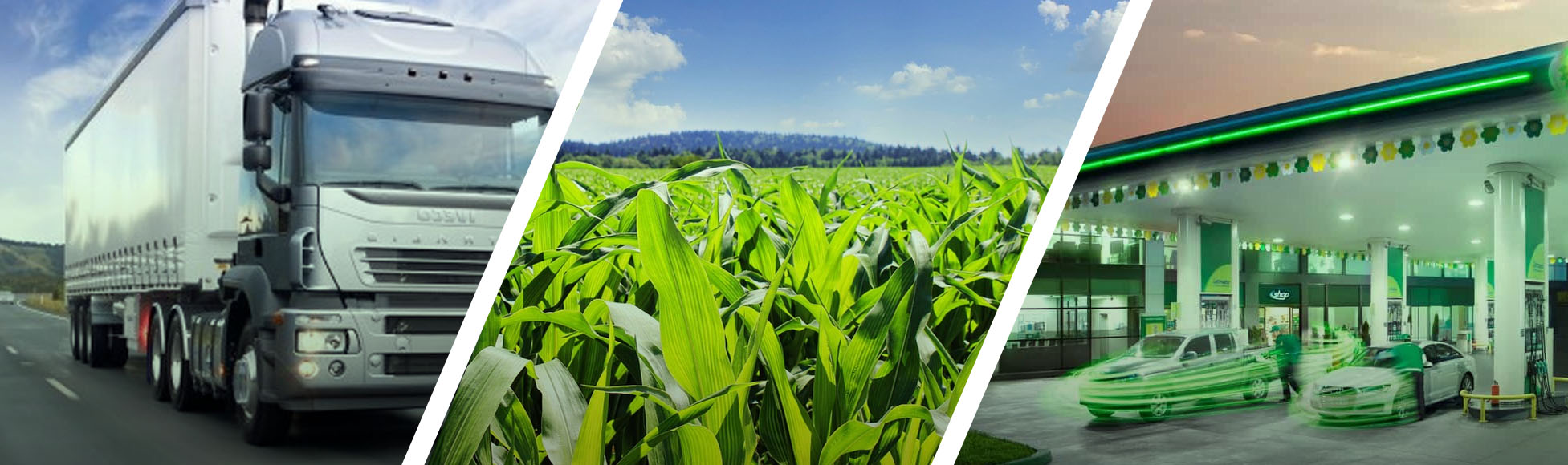 YONCA, MISIR SİLAJI, NAKLİYE, PETROL &Uuml;R&Uuml;NLERİ